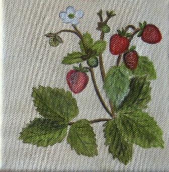 Kopie (2) von IMG_1786