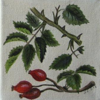 Kopie (3) von IMG_1786