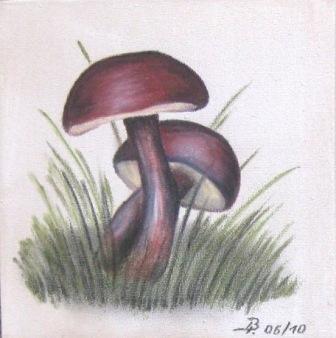 Kopie (2) von IMG_0031